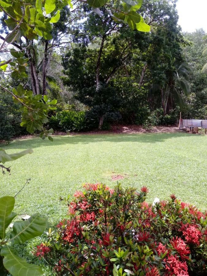 Hotel Casa Champion Quepos Exterior foto